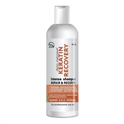Frezy Grand Шампунь для регенерации и реконструкции волос / Keratin Recovery PH 5.0, 200 мл 20892-29616 - фото 14775688